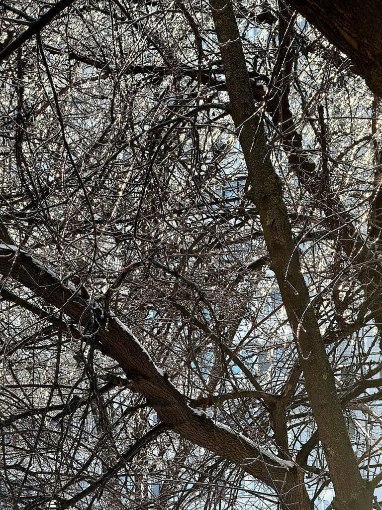 Одеситів попереджають про небезпеку падіння бурульок Одеситів попереджають про небезпеку падіння бурульок