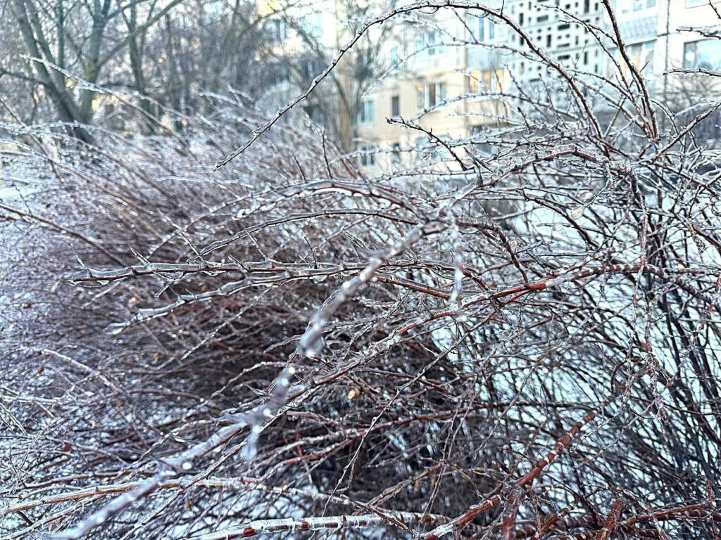 Одеситів попереджають про небезпеку падіння бурульок Одеситів попереджають про небезпеку падіння бурульок