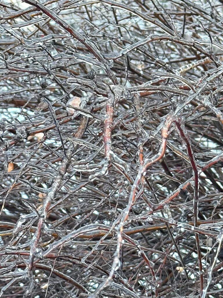 Одеситів попереджають про небезпеку падіння бурульок Одеситів попереджають про небезпеку падіння бурульок