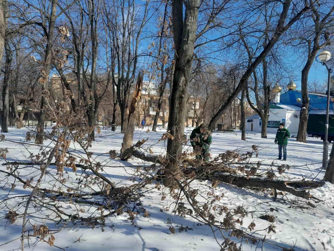 Ожеледь в Одесі поламала дерева та великі гілки (фото) Ожеледь в Одесі поламала дерева та великі гілки (фото)
