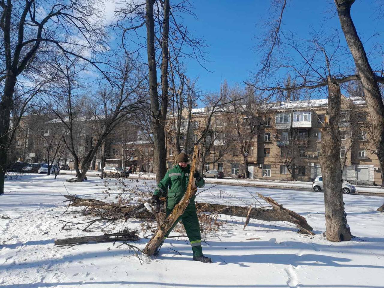 Ожеледь в Одесі поламала дерева та великі гілки (фото) Ожеледь в Одесі поламала дерева та великі гілки (фото)