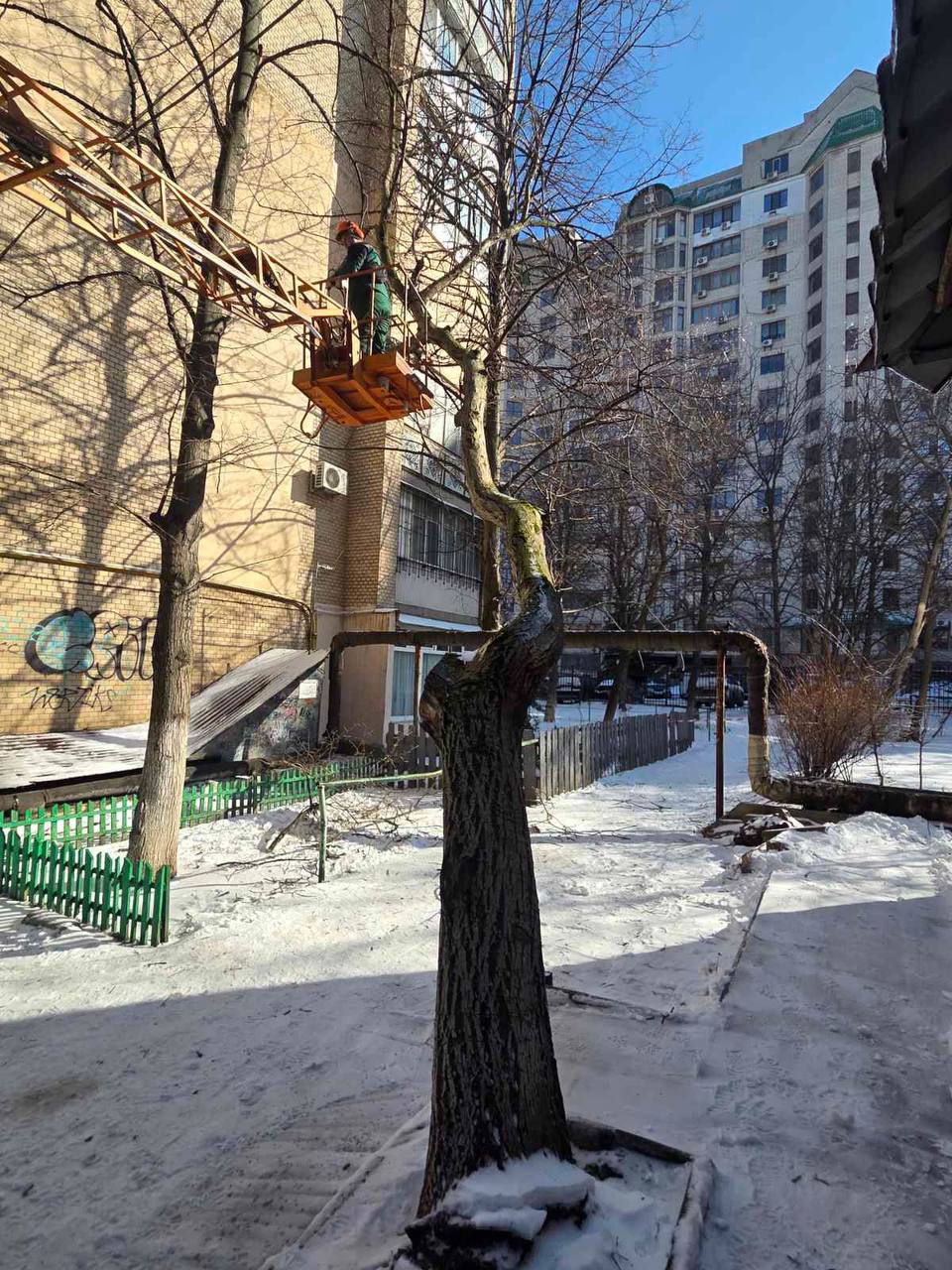 Ожеледь в Одесі поламала дерева та великі гілки (фото) Ожеледь в Одесі поламала дерева та великі гілки (фото)