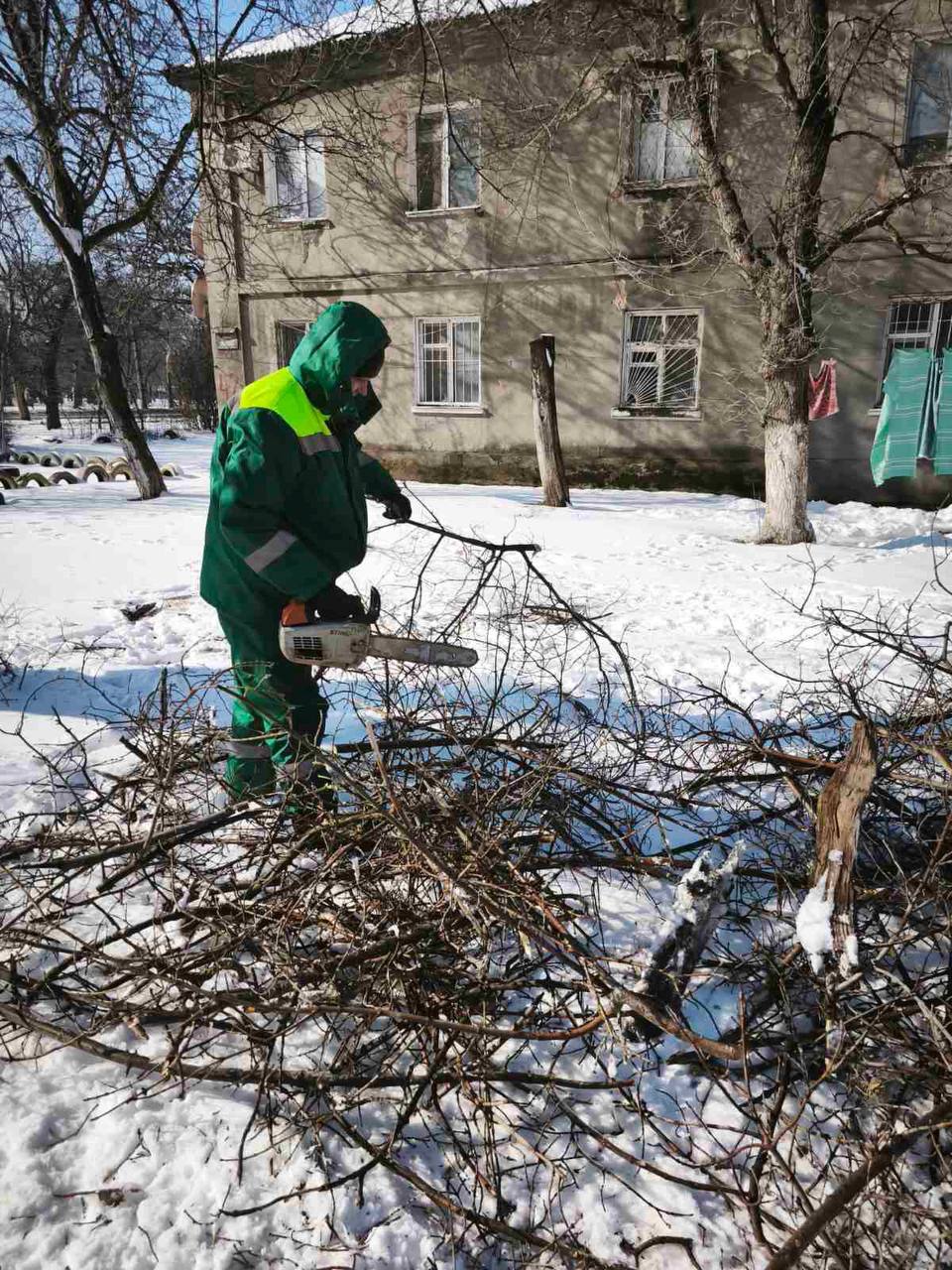 Ожеледь в Одесі поламала дерева та великі гілки (фото) Ожеледь в Одесі поламала дерева та великі гілки (фото)