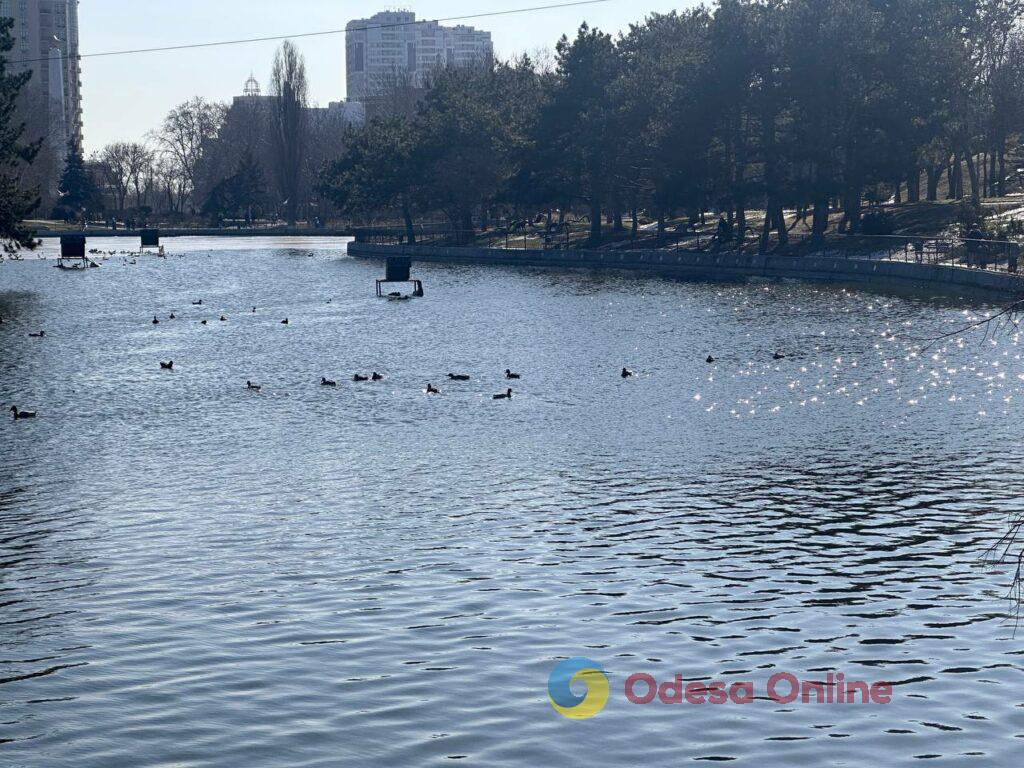 За крок до весни: одесити гуляють біля моря, поки вдома немає світла В шаге от весны: одесситы гуляют у моря, пока дома нет света