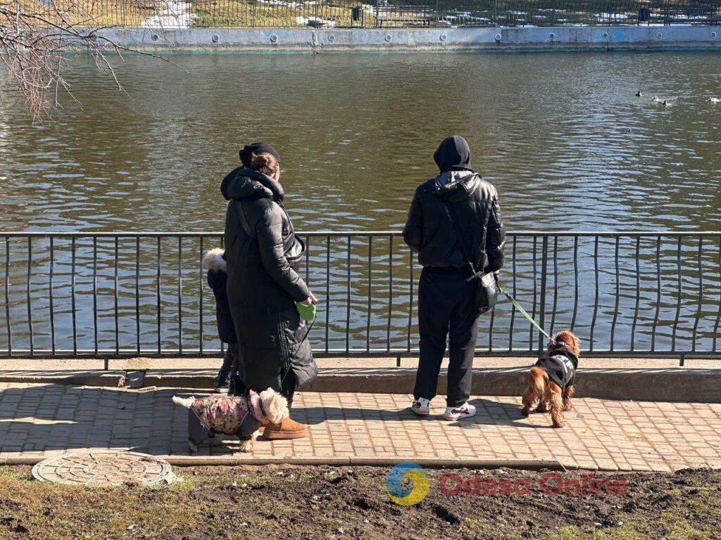 За крок до весни: одесити гуляють біля моря, поки вдома немає світла В шаге от весны: одесситы гуляют у моря, пока дома нет света