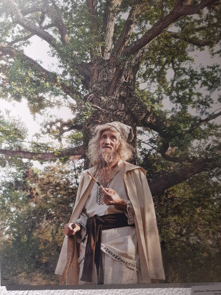 В Одесі відкрилася фотовиставка «Лісова: свобода бути собою» (фоторепортаж)