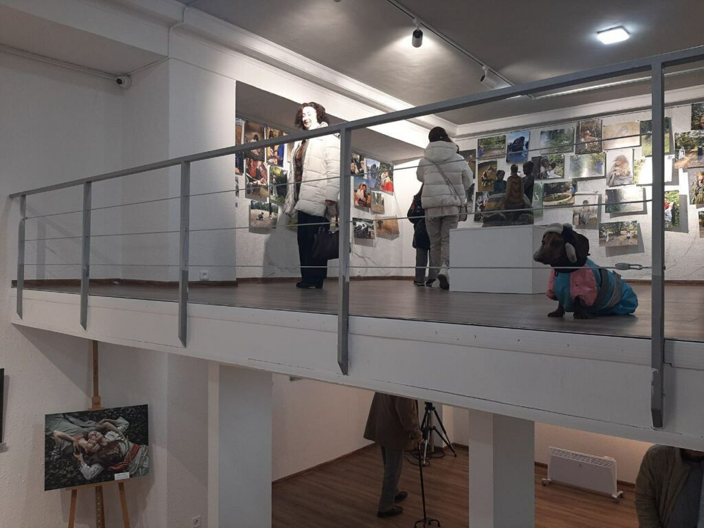 В Одессе открылась фотовыставка «Лесная: свобода быть собой» (фоторепортаж) В Одессе открылась фотовыставка «Лесная: свобода быть собой» (фоторепортаж)