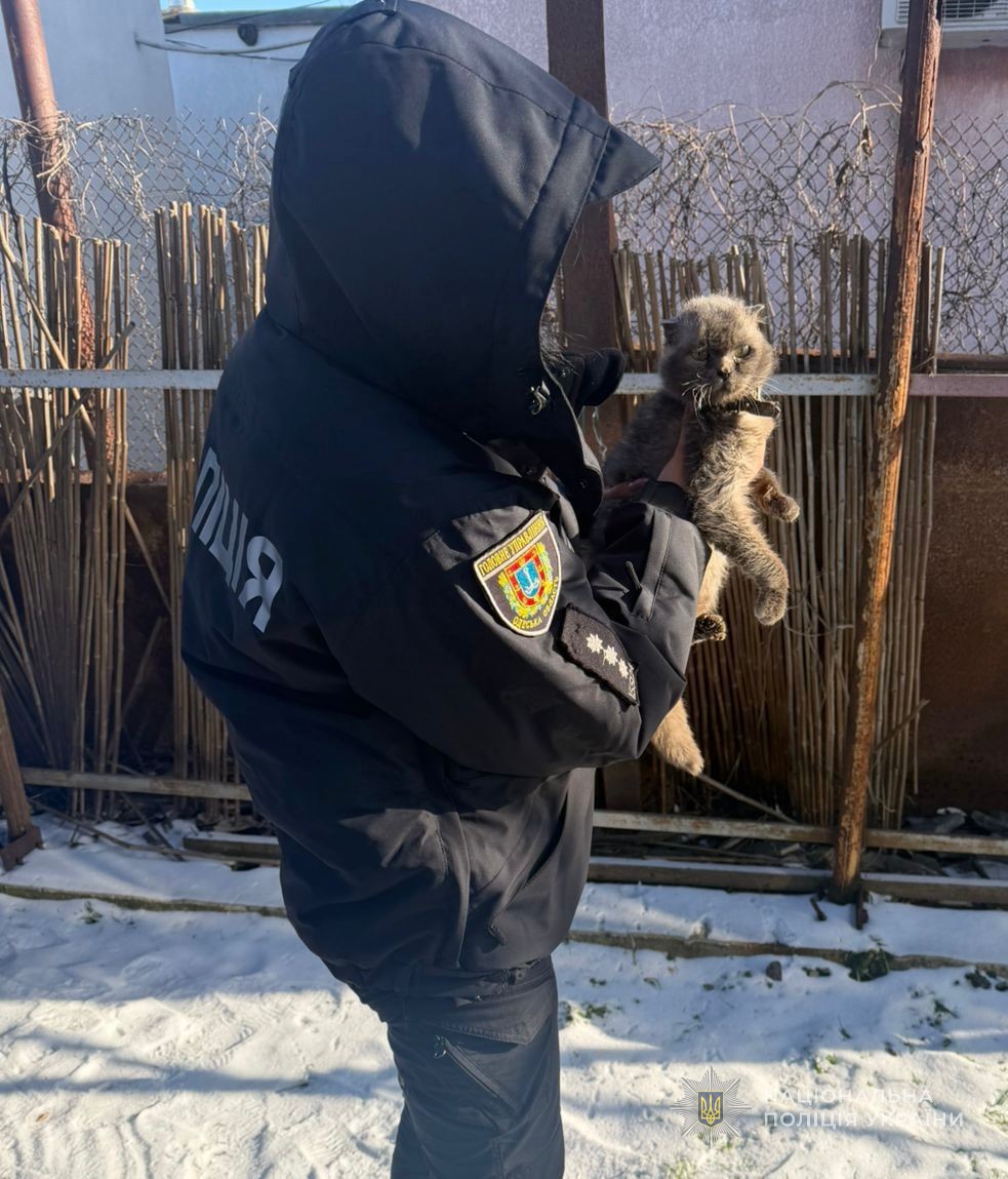 Прив’язала котів у дворі: в Одесі поліція відкрила кримінальне провадження за фактом жорстокого поводження з тваринами