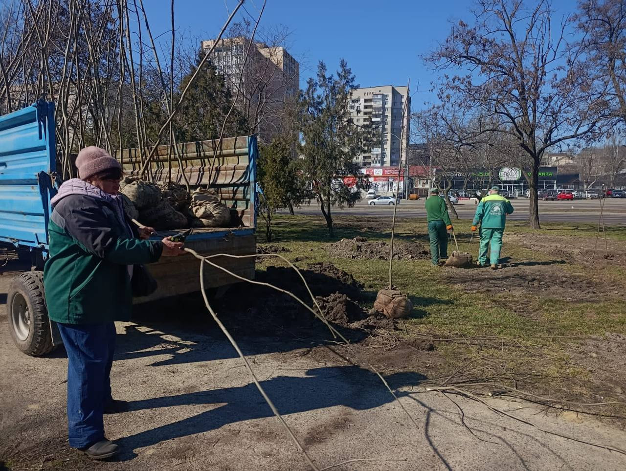 В Одесі з початку року висадили три сотні дерев