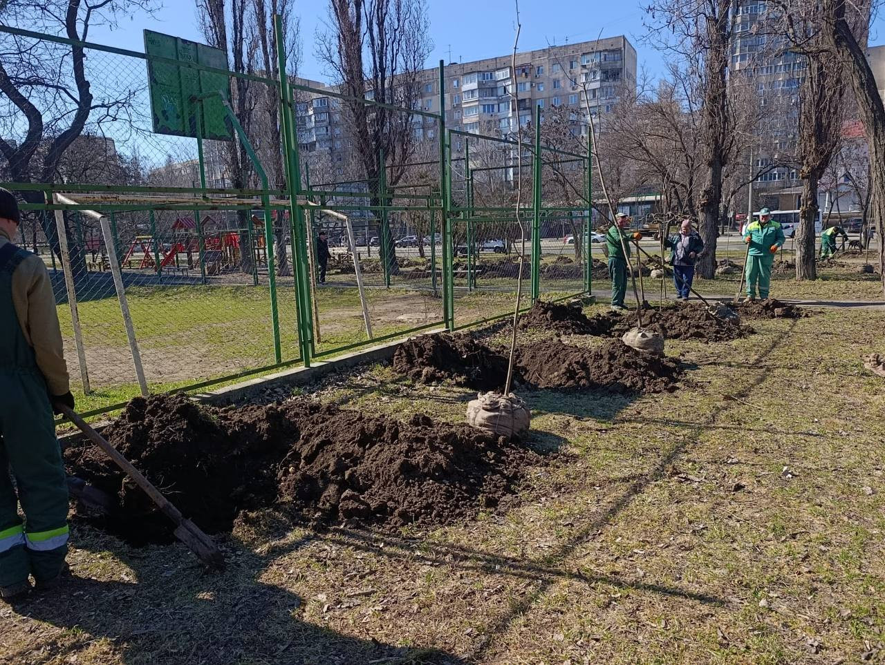 В Одесі з початку року висадили три сотні дерев
