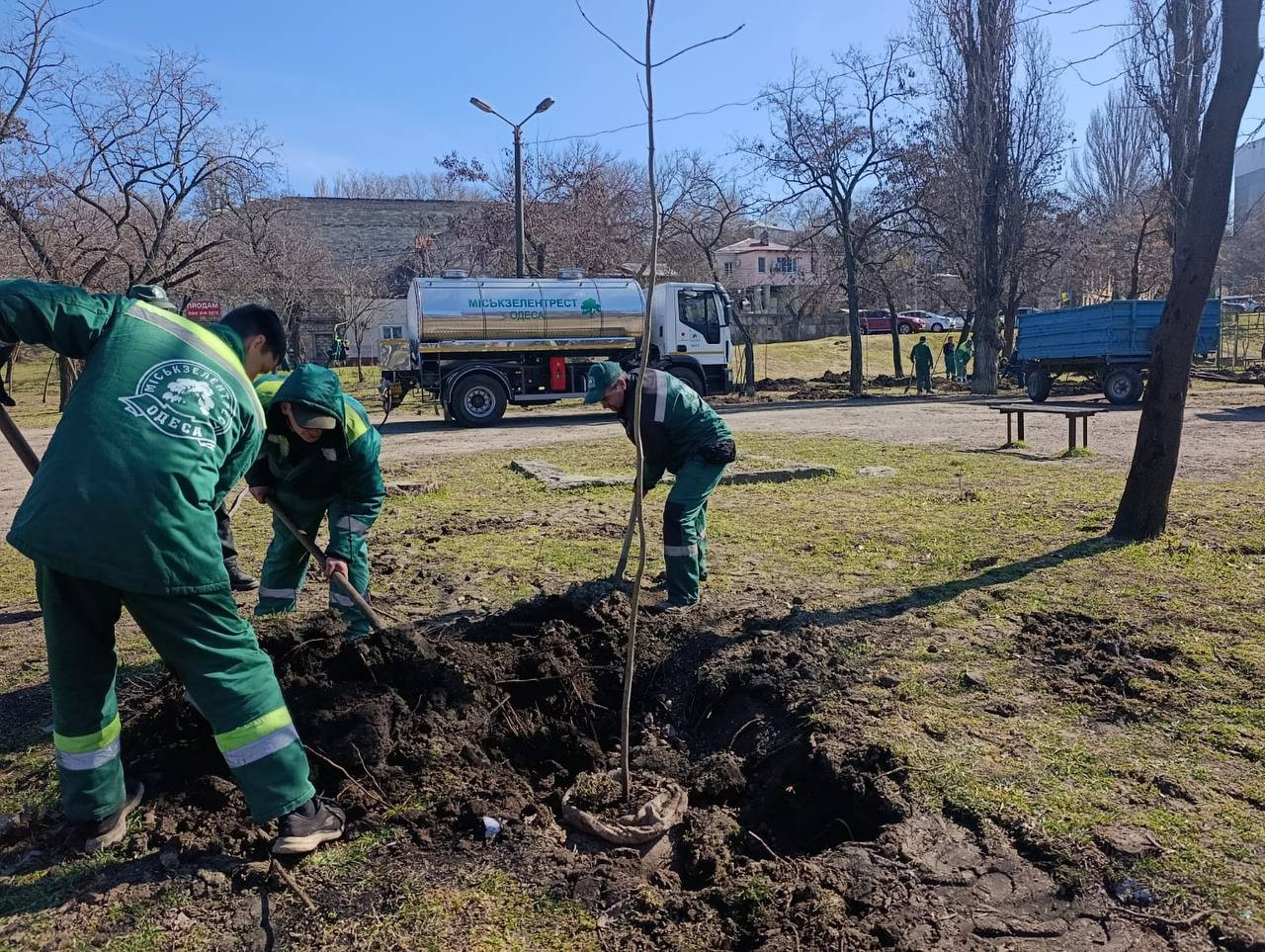 В Одесі з початку року висадили три сотні дерев