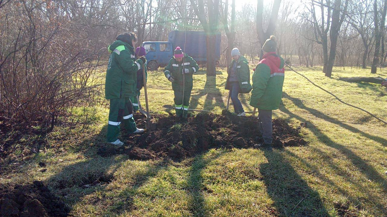 В Одесі з початку року висадили три сотні дерев