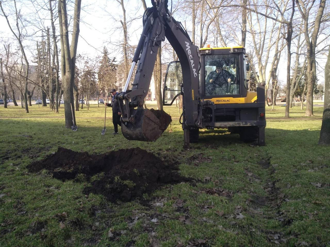 В Одесі з початку року висадили три сотні дерев
