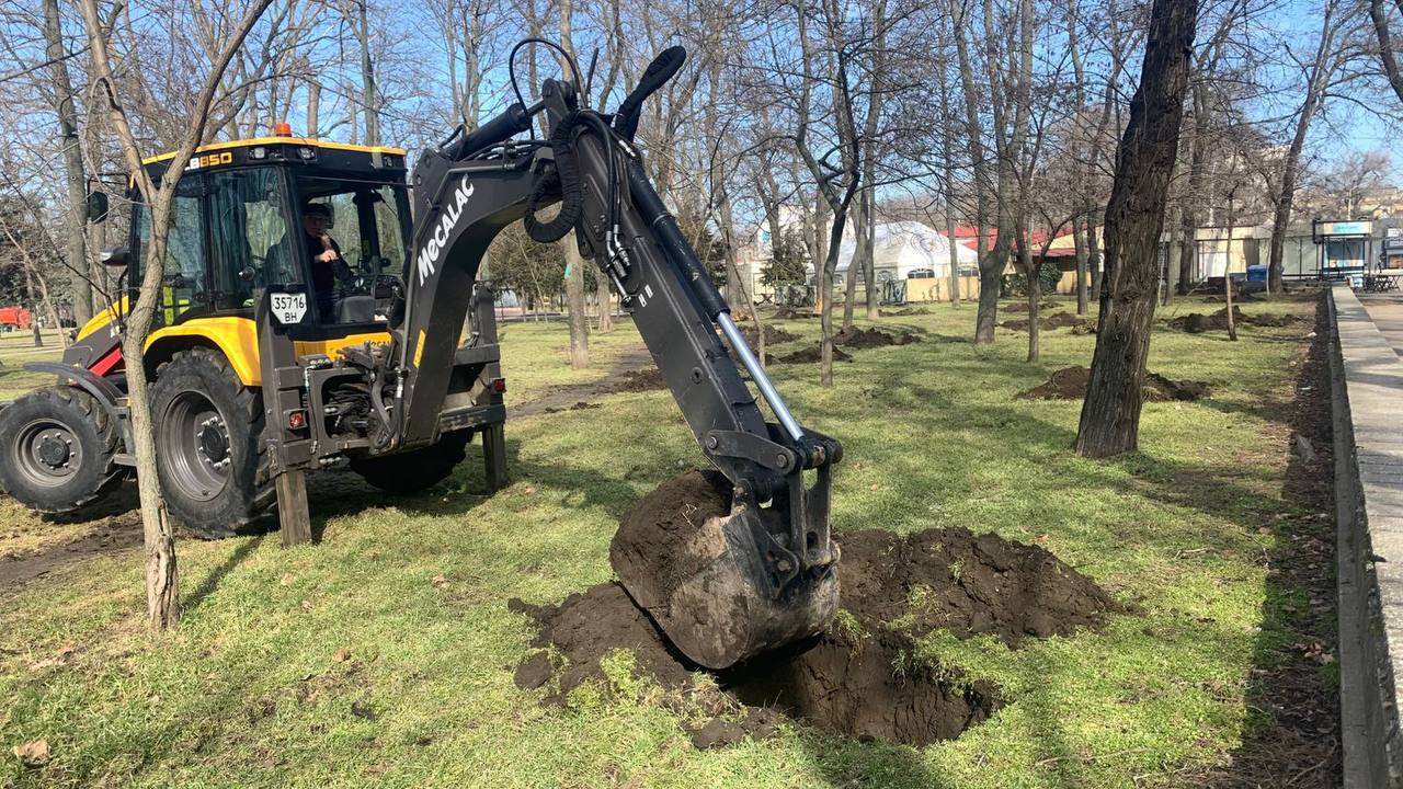 В Одесі з початку року висадили три сотні дерев