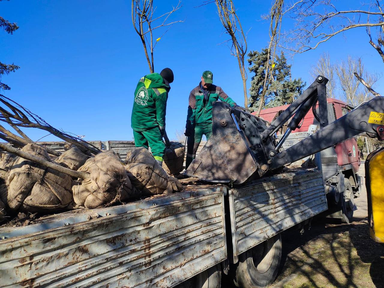 В Одесі з початку року висадили три сотні дерев