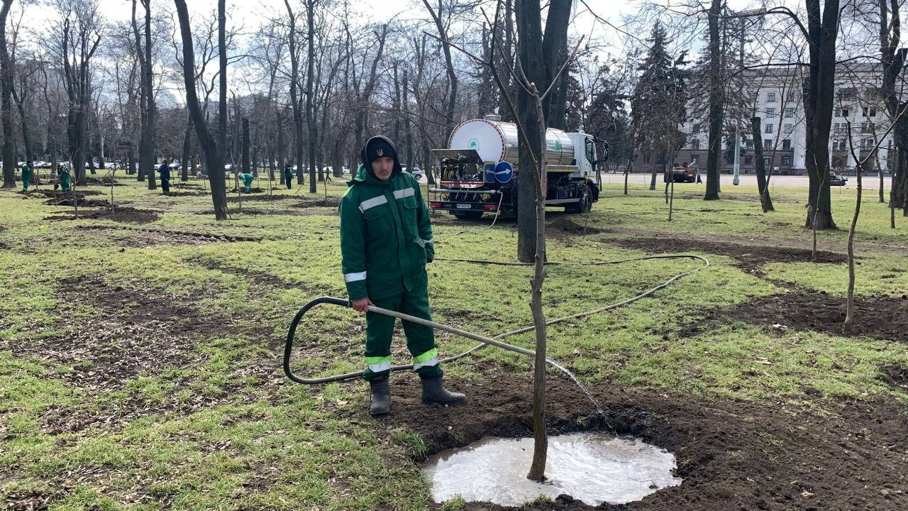 В Одесі з початку року висадили три сотні дерев