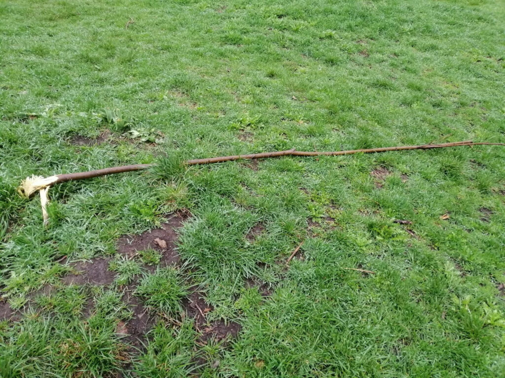 В Одессе вандалы сломали молодые деревья в парке Преображенский