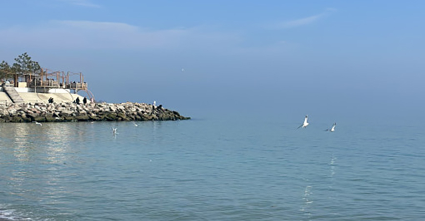 Якою буде погода в Одесі та області 6 березня