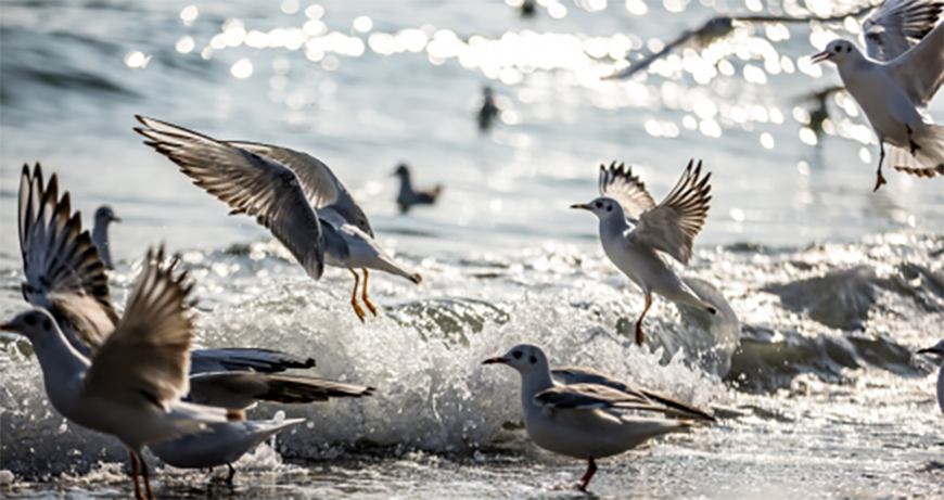 Какой будет погода в Одессе и области 7 марта Какой будет погода в Одессе и области 7 марта