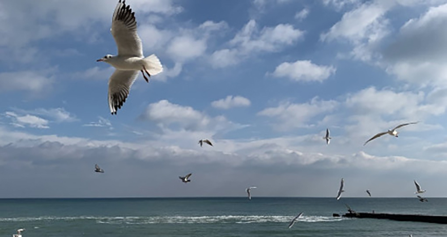 Якою буде погода в Одесі та області 15 березня Якою буде погода в Одесі та області 15 березня