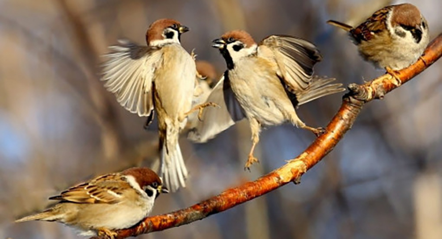Какой будет погода в Одессе и области 21 марта Какой будет погода в Одессе и области 21 марта