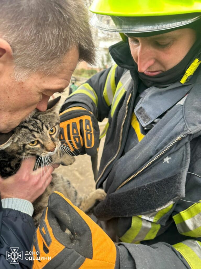 Операцию по спасению кота провели в Киевском районе Одессы
