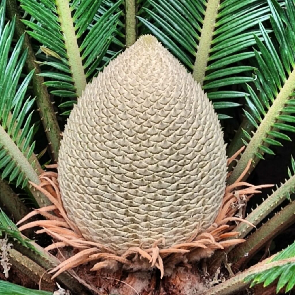 Одеський ботсад готується до сезону екскурсій: в оранжереях масово квітнуть рослини Одесский ботсад готовится к сезону экскурсий: в оранжереях массово цветут растения