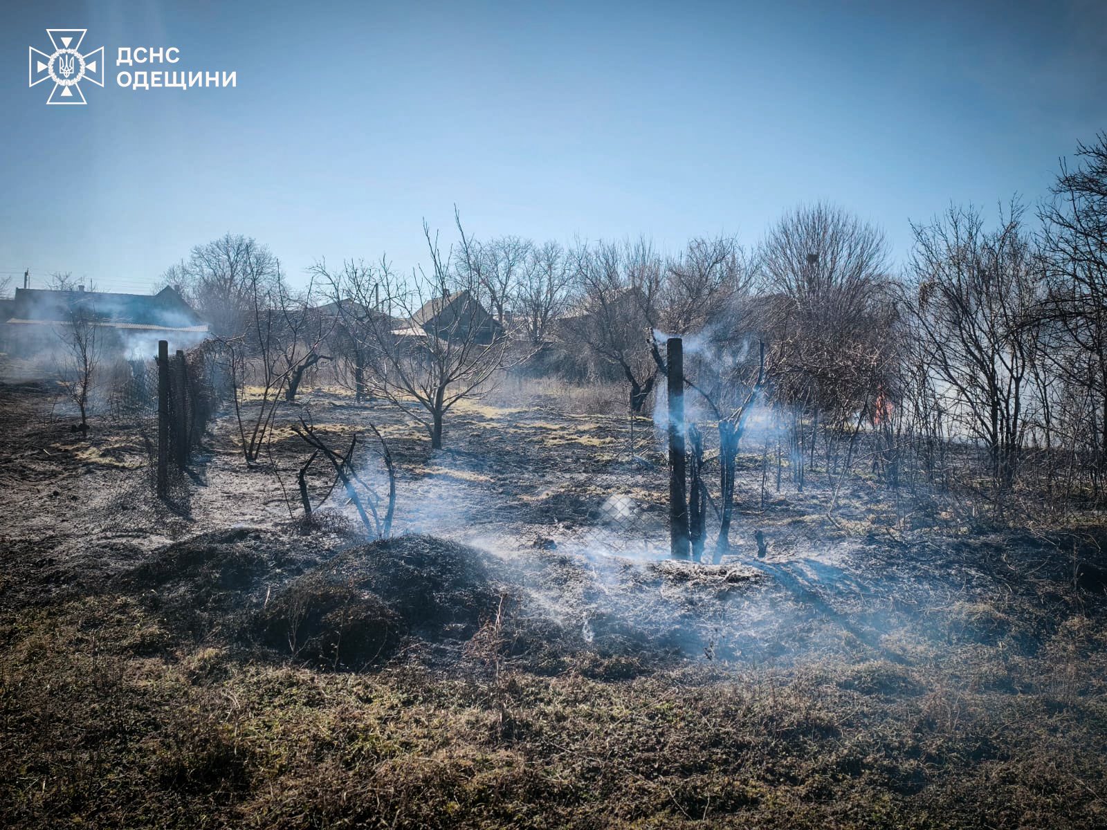 На Одещині за тиждень сталося півсотні пожеж сухої рослинності (фото)