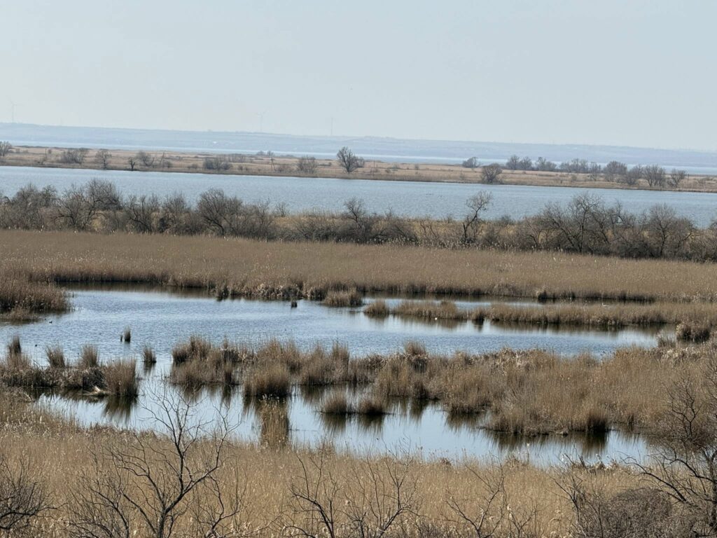 Веломандрівка мальовничою Одещиною: пелікани, лебеді та рідкісні квіти