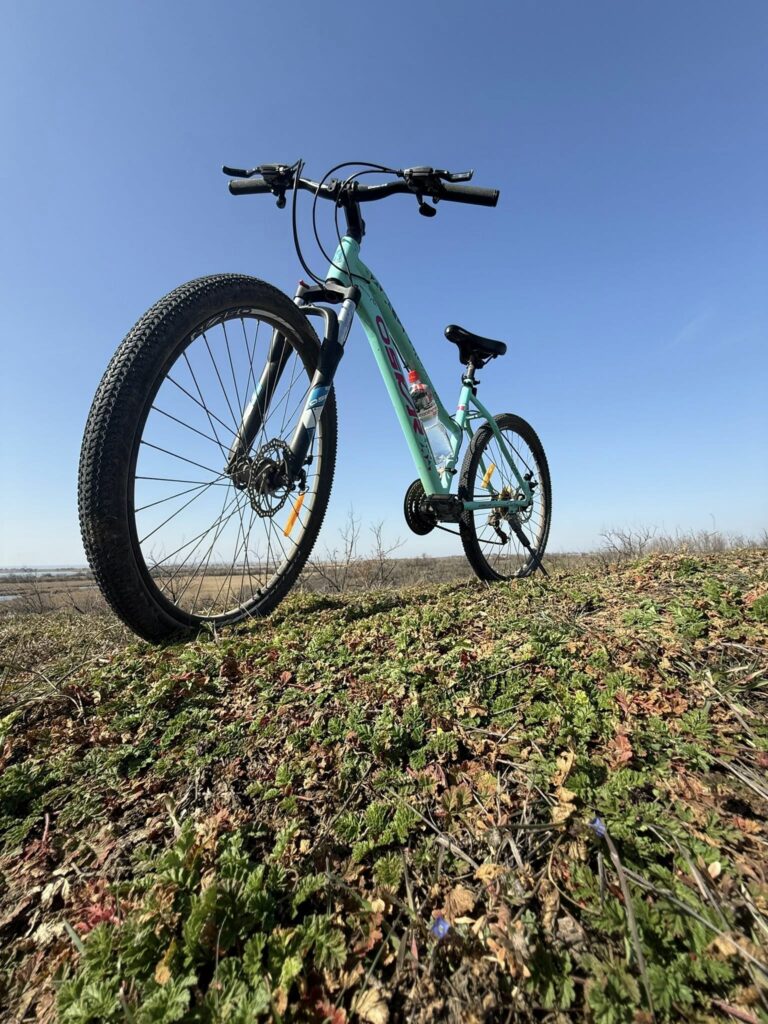 Веломандрівка мальовничою Одещиною: пелікани, лебеді та рідкісні квіти