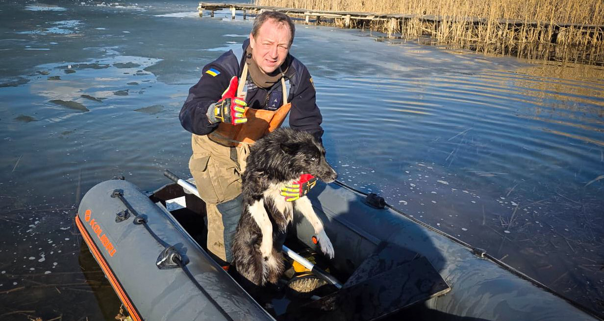 В Подольском районе спасатели вытащили собаку из ледяной ловушки в водоеме