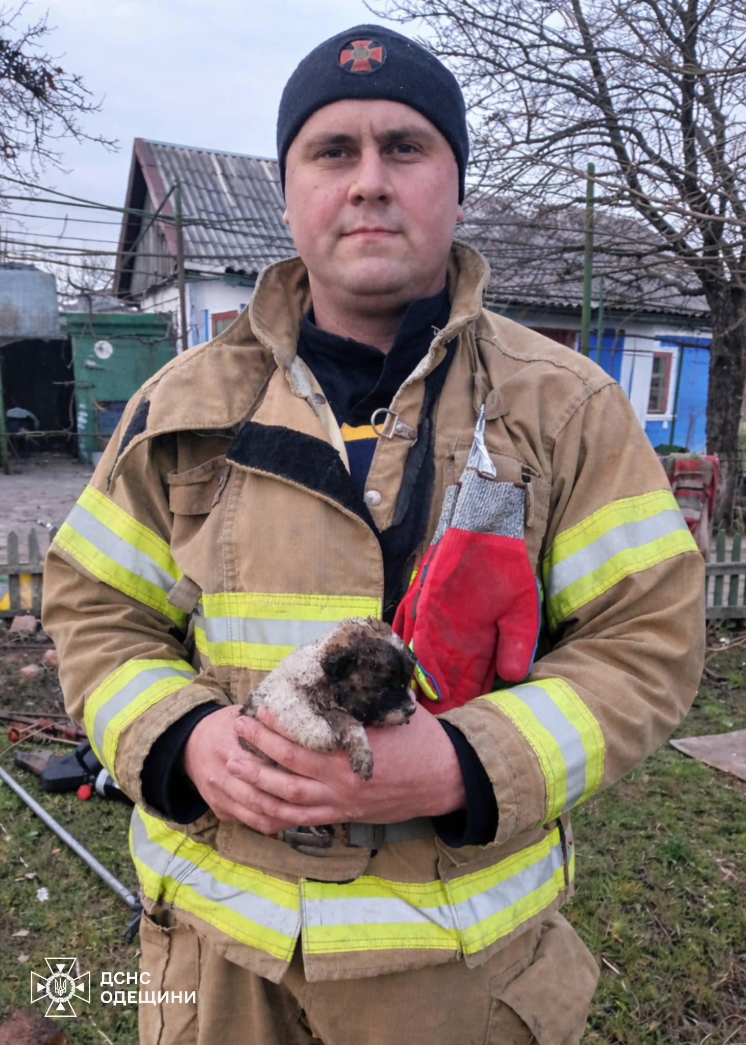 В Одесской области спасли маленького щенка из глубокой ямы (фото) В Одесской области спасли маленького щенка из глубокой ямы (фото)