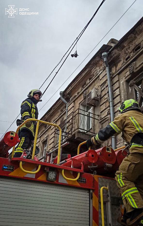 Одесские спасатели помогли голубю, запутавшемуся в проводах