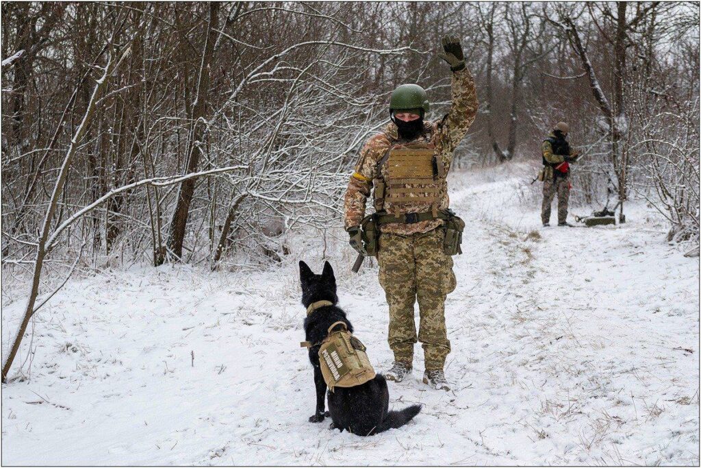 Від удару ворожого дрона загинув прикордонник з Одещини: його вірна вівчарка скиглила під час прощання От удара дрона погиб пограничник из Одесской области: его верная овчарка скулила во время прощания