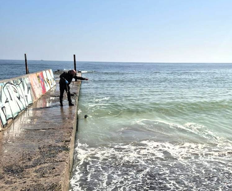 В Одессе возле «Отрады» и «Ланжерона» зафиксировали загрязнение морской воды