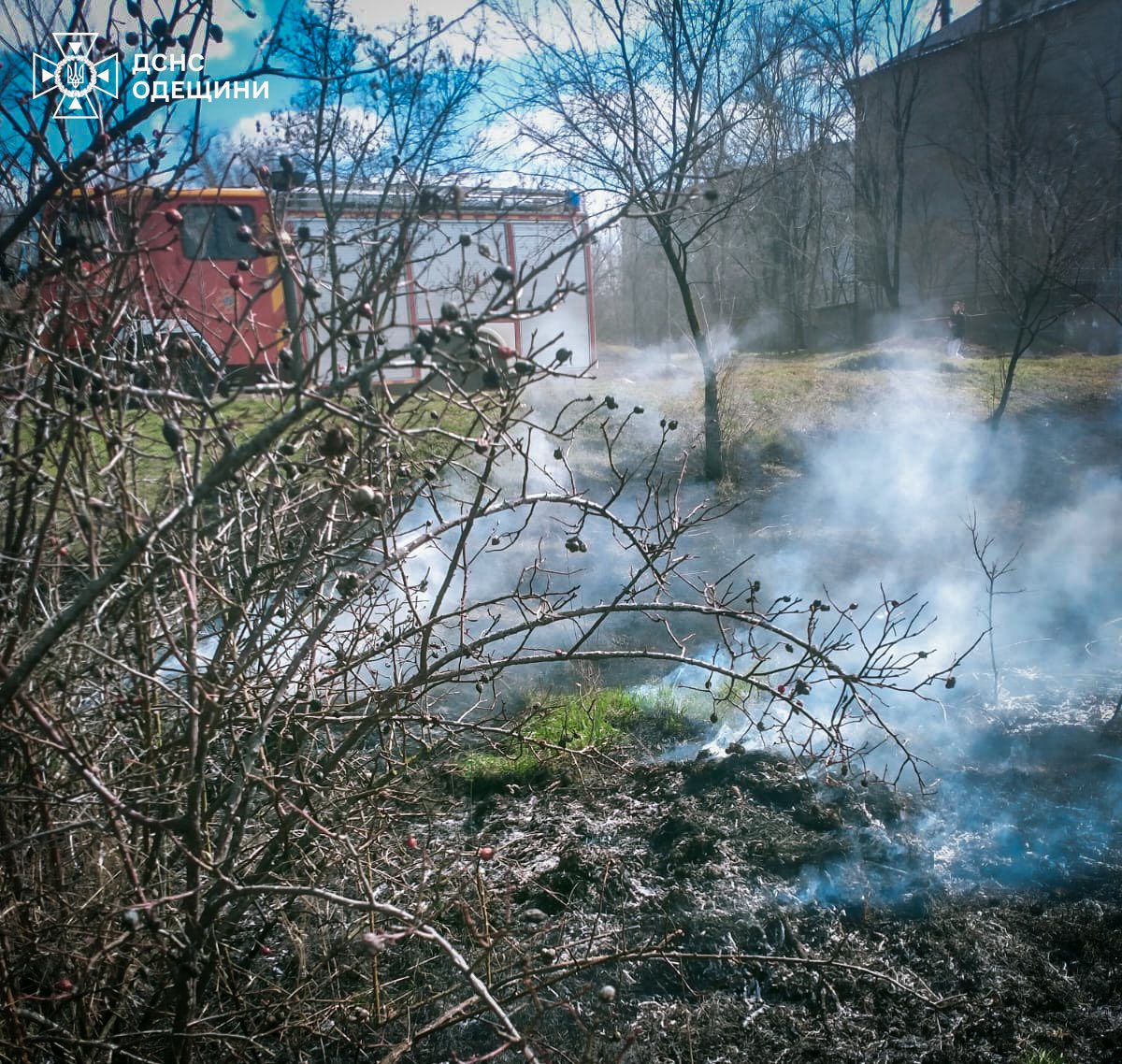 На Одещині за тиждень сталося півсотні пожеж сухої рослинності (фото)