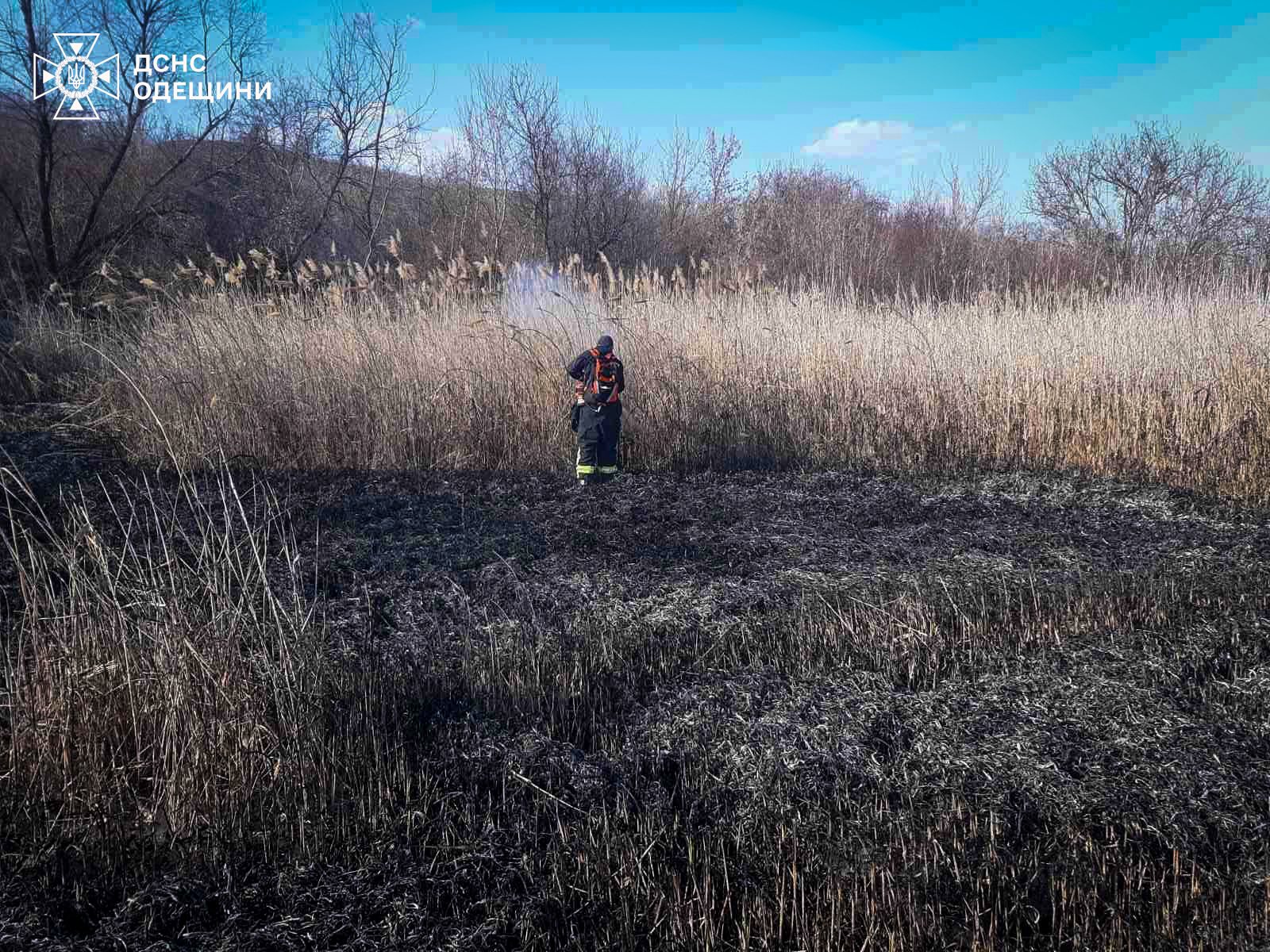 На Одещині за тиждень сталося півсотні пожеж сухої рослинності (фото)