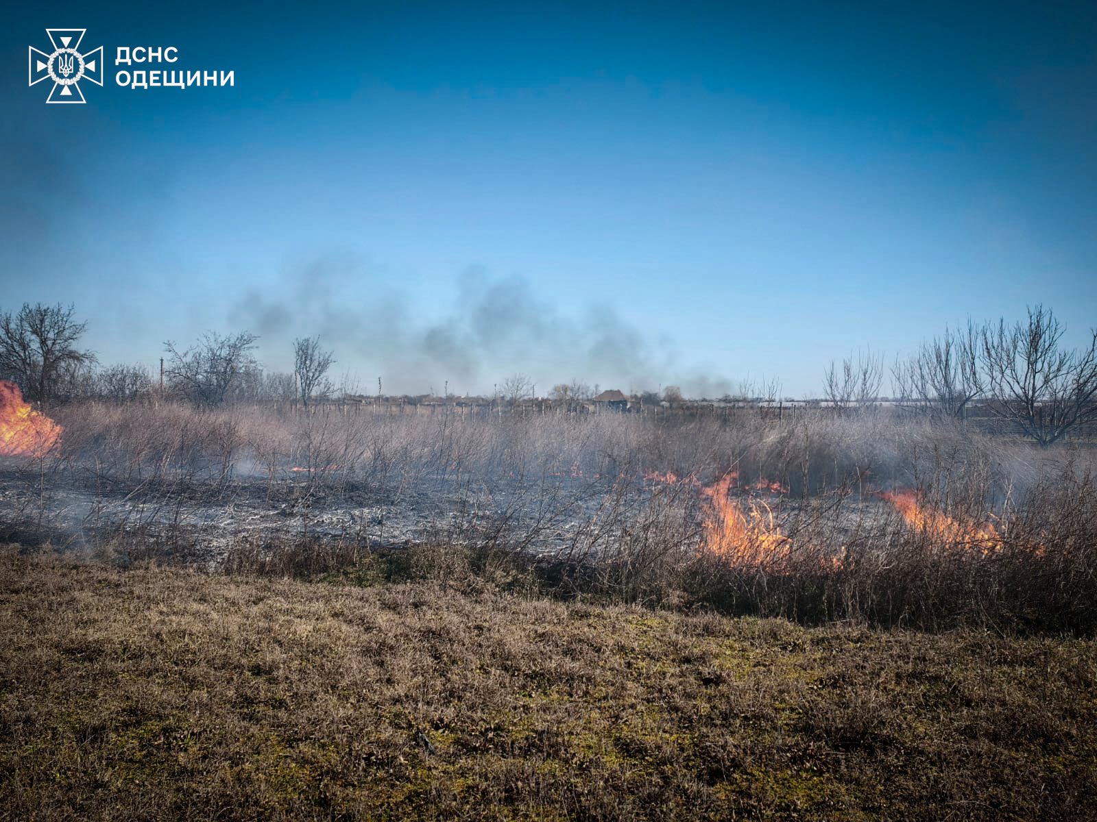 На Одещині за тиждень сталося півсотні пожеж сухої рослинності (фото)