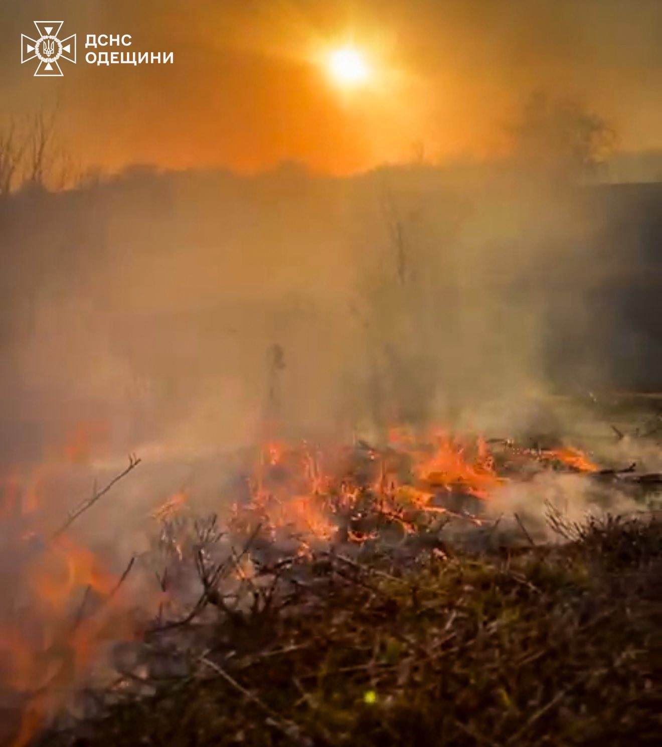 На Одещині за тиждень сталося півсотні пожеж сухої рослинності (фото) На Одещині за тиждень сталося півсотні пожеж сухої рослинності (фото)