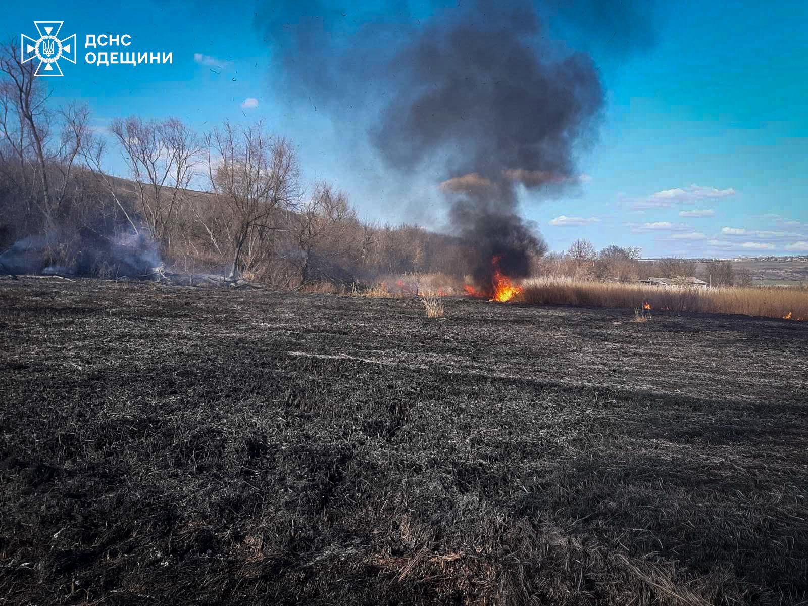 На Одещині за тиждень сталося півсотні пожеж сухої рослинності (фото)