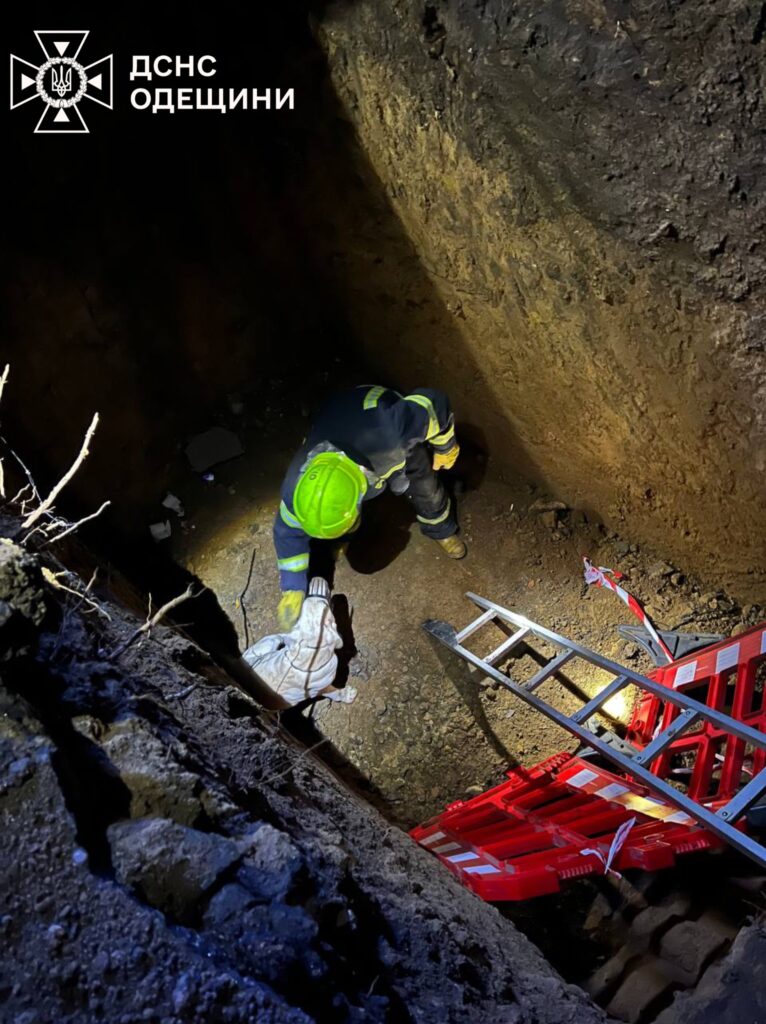 Одеса: на вулиці Космонавтів рятувальники витягли собаку з триметрової ями