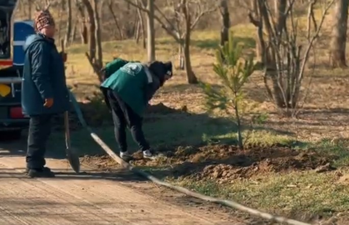 На Трасі здоров’я в Одесі висадять 1000 сосен (оновлено) На Трасі здоров’я в Одесі висадять 1000 сосен (оновлено)