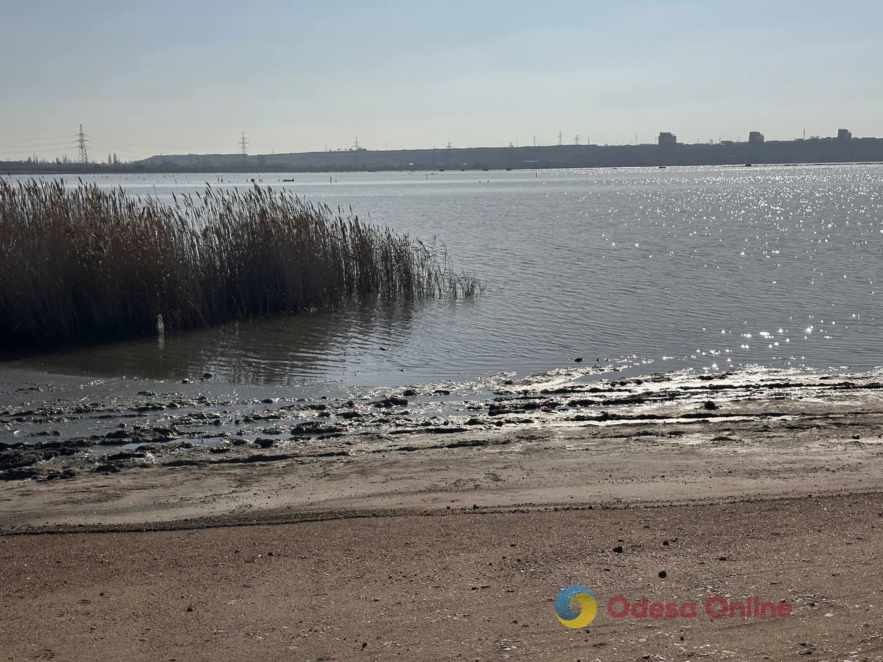 Фото недели в Одессе: четвертая годовщина вторжения, последствия очередных обстрелов и прощание с зимой