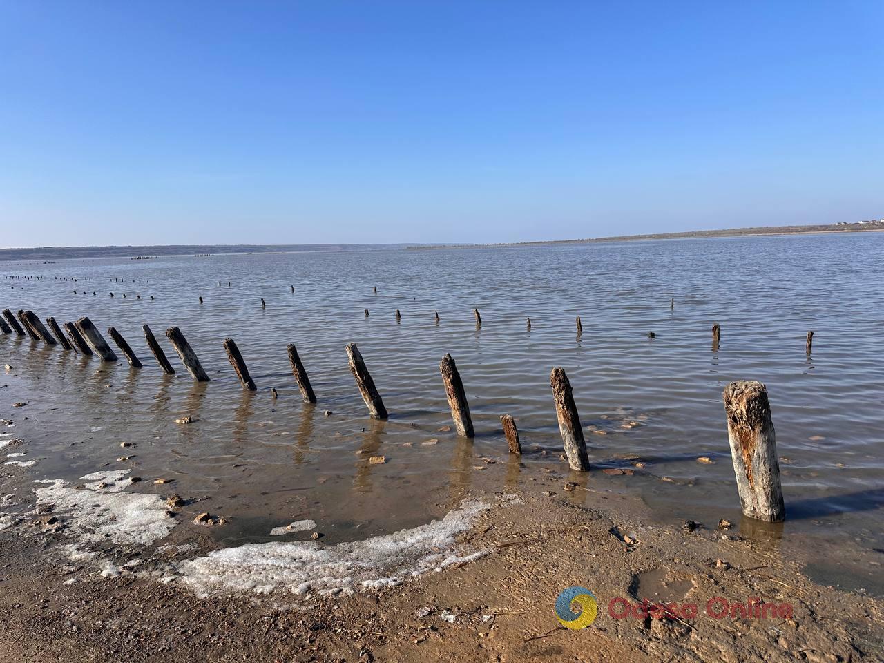 Фото недели в Одессе: четвертая годовщина вторжения, последствия очередных обстрелов и прощание с зимой