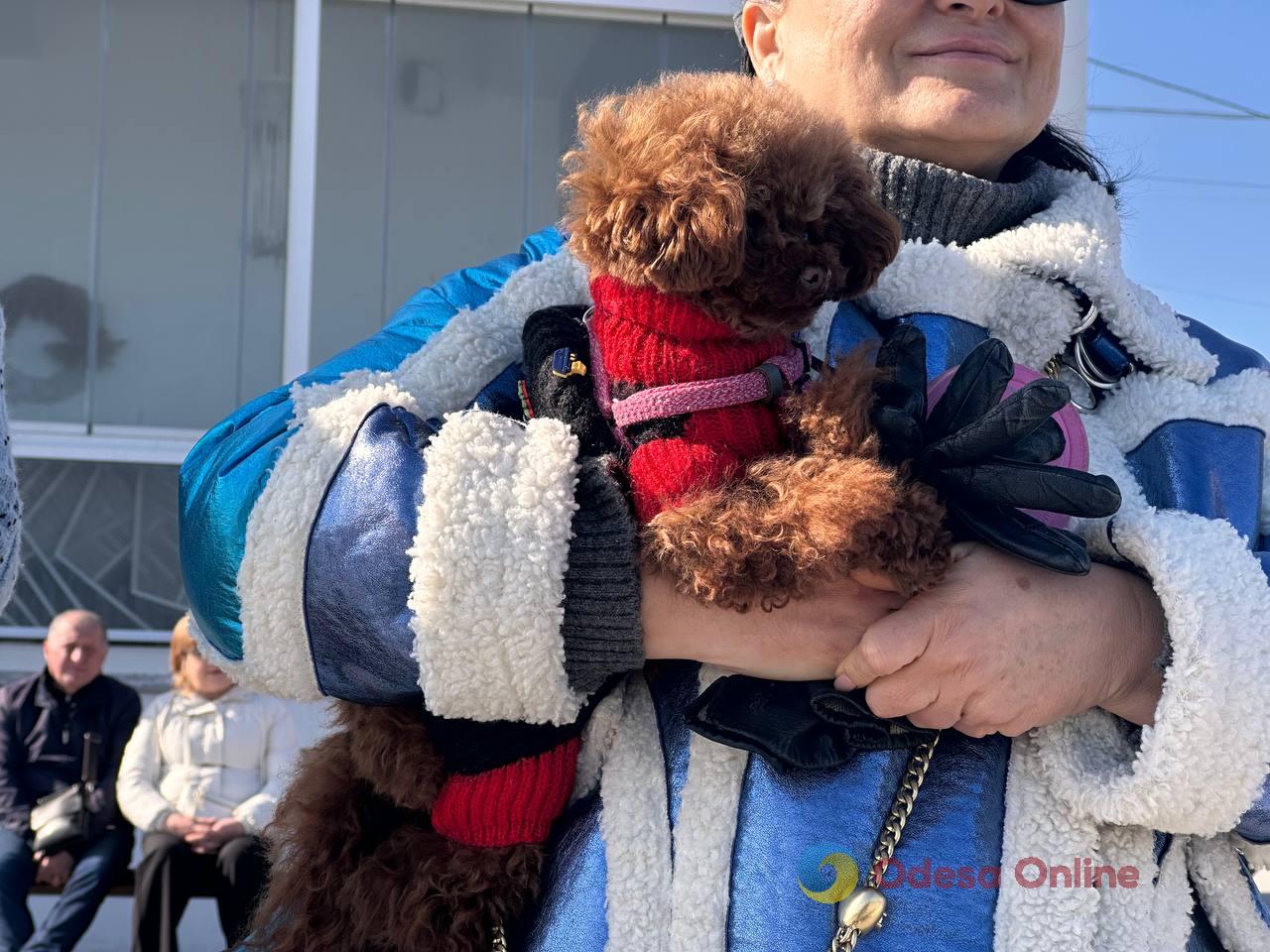 Фото недели в Одессе: четвертая годовщина вторжения, последствия очередных обстрелов и прощание с зимой