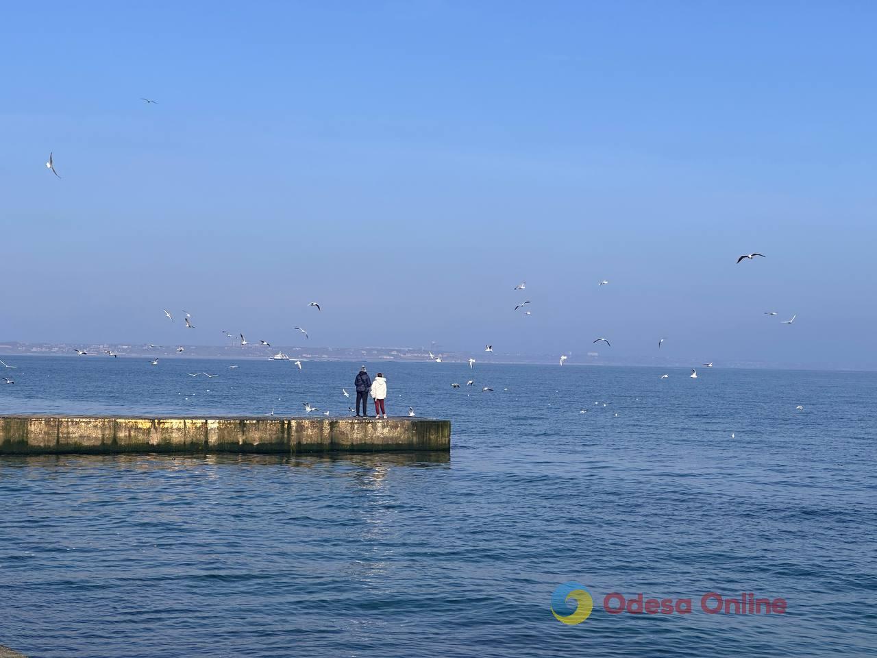 Фото недели в Одессе: четвертая годовщина вторжения, последствия очередных обстрелов и прощание с зимой