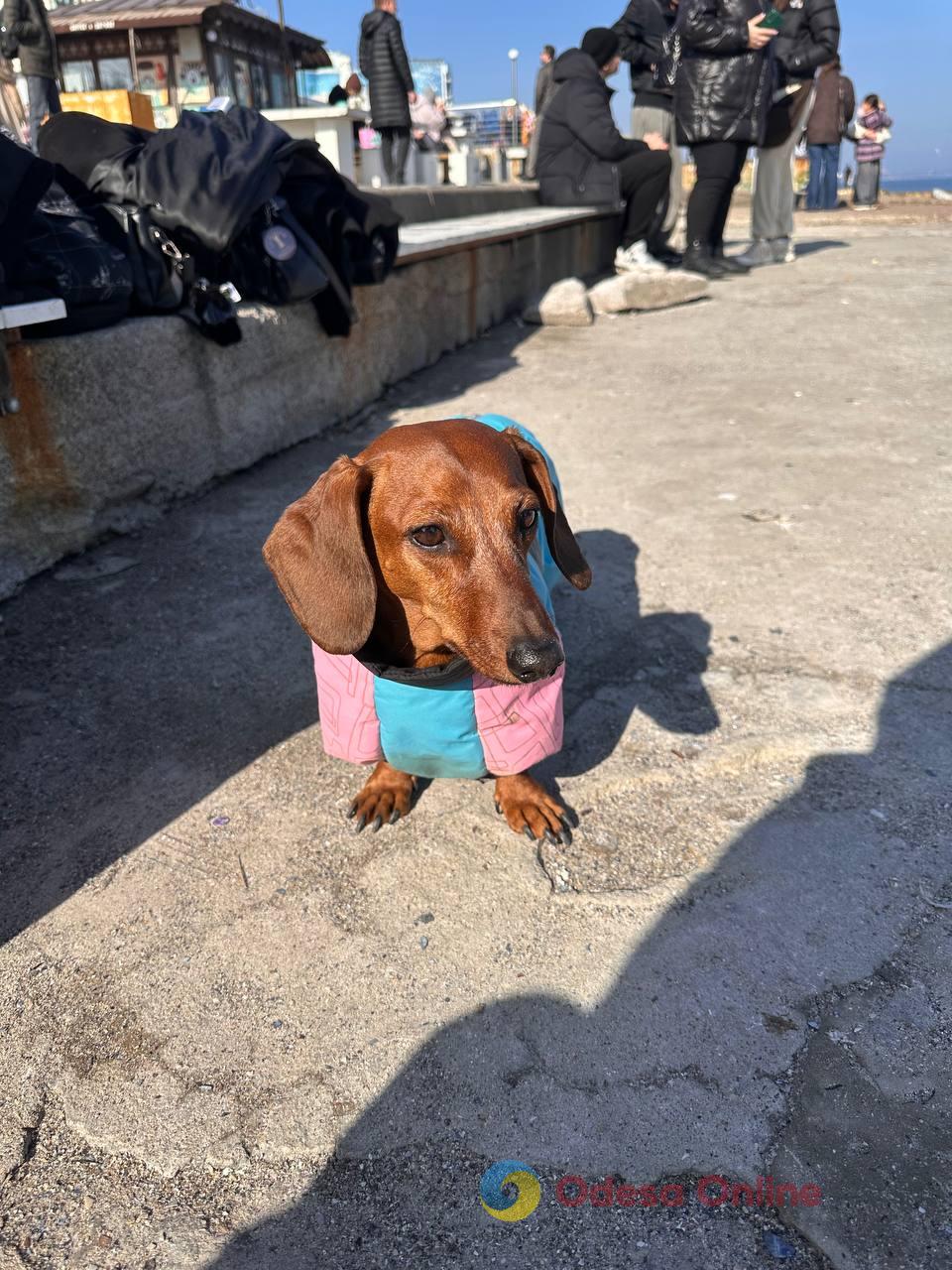 Фото недели в Одессе: четвертая годовщина вторжения, последствия очередных обстрелов и прощание с зимой