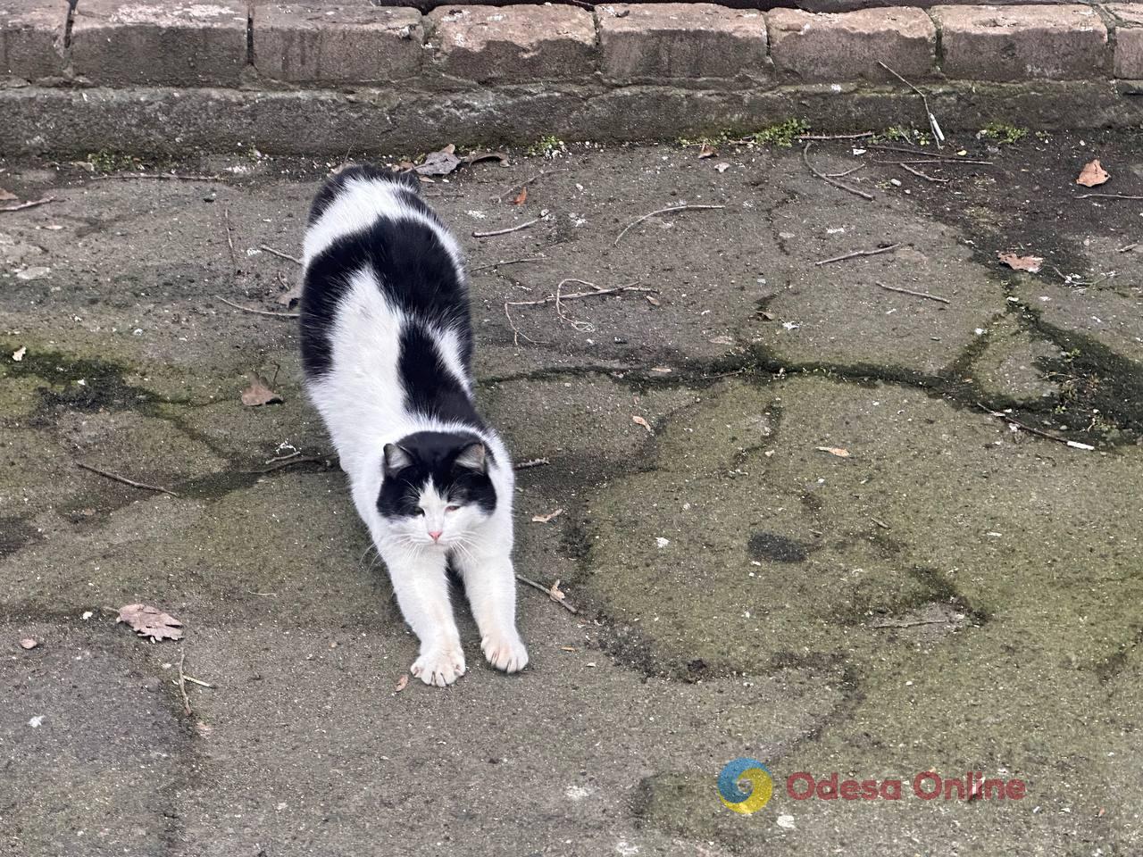 Фото недели в Одессе: четвертая годовщина вторжения, последствия очередных обстрелов и прощание с зимой