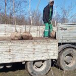 photo_2026-03-07_13-03-08 (2)