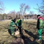 photo_2026-03-07_13-03-10 (2)